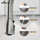 APPASO 198BN Swan-Neck Kitchen Faucet Brushed Nickel Single Handle with Soap Dispenser