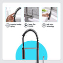 APPASO 238BS Commercial Spring Kitchen Faucet Gunmetal Black with Pull Down Sprayer and Deck Plate