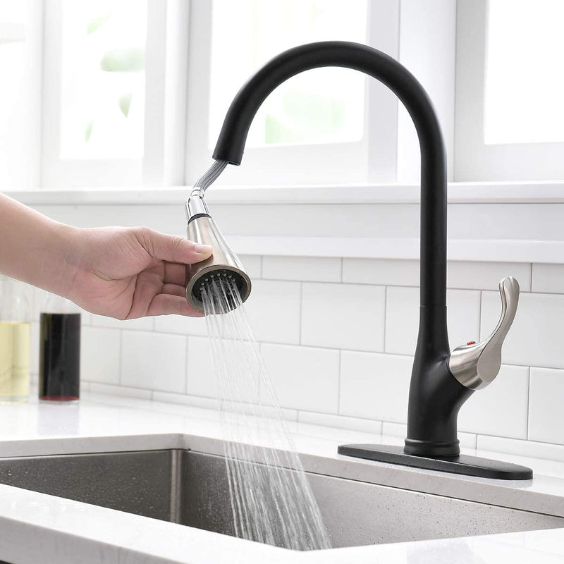 APPASO_Kitchen_Sink_Faucets_001-ORB