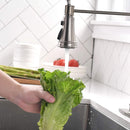 APPASO_Kitchen_Sink_Faucets_002-BN