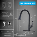 APPASO 123MB Kitchen Faucet Matte Black Single Handle with Pull Down Spray Head and Deck Plate