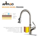 APPASO 159BN Brushed Nickel Kitchen Faucet with Pull Down Sprayer, Soap Dispenser and Brush