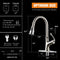 APPASO 159BN Brushed Nickel Kitchen Faucet with Pull Down Sprayer, Soap Dispenser and Brush