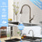 APPASO 123BN Kitchen Faucet Brushed Nickel Single Handle with Pull Down Spray Head