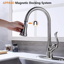 APPASO 148BN Single Handle Single Hole Kitchen Faucet Brushed Nickel with Pull Down Sprayer