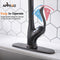 APPASO 148ORB Single Handle Pull Down Kitchen Faucet Oil Rubbed Bronze Single Hole