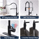 APPASO 163MB Modern Pull Down Spring Commercial Kitchen Faucet Matte Black with Soap Dispenser